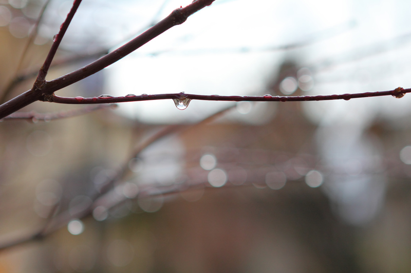 Illustration for article titled Shooting Challenge: Bokeh, Gallery 2